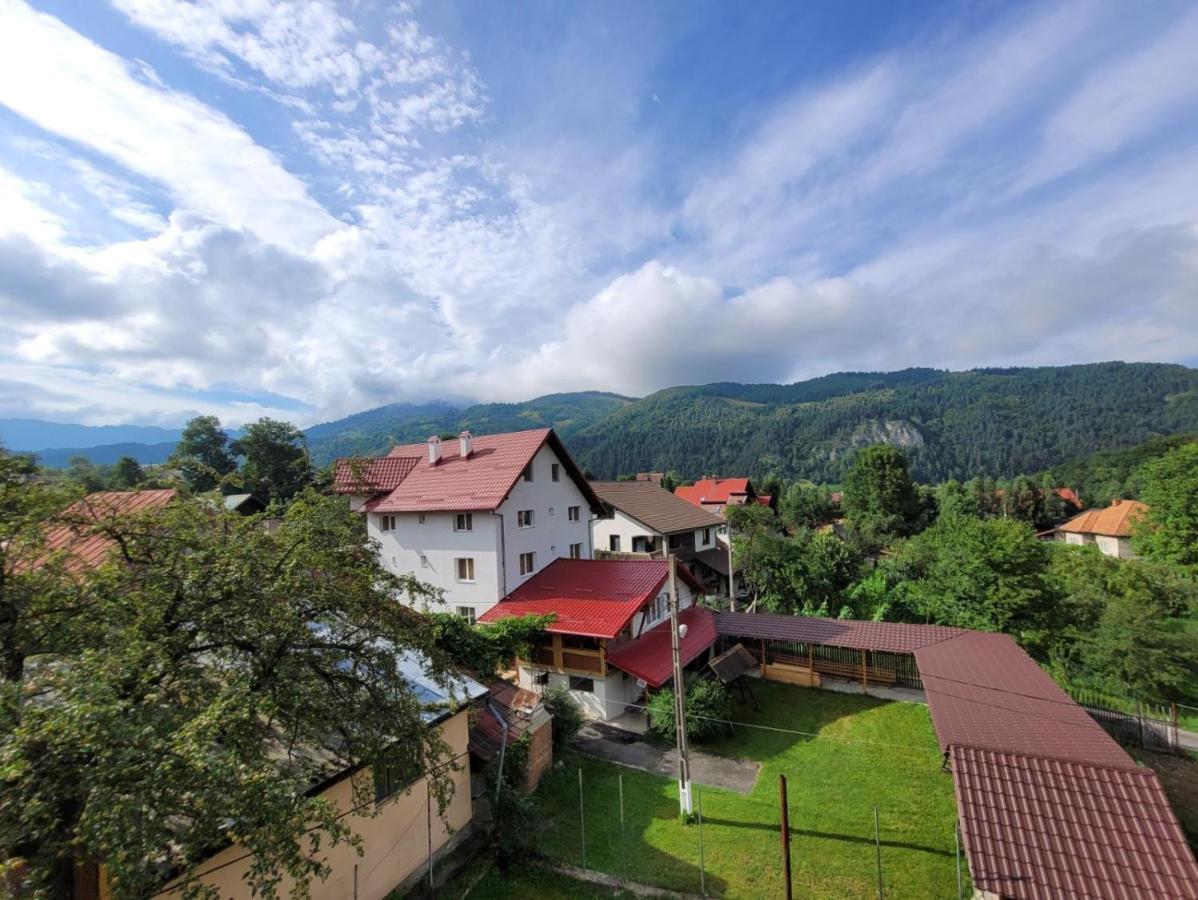 Vila Denisa Bran  Esterno foto